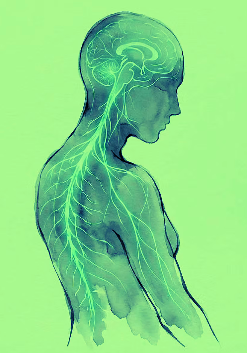 Teil 3: Der zweite Schlag – Wenn die Fabrik zusammenbricht - Über Viren, leere Speicher und die Mechanik des Zusammenbruchs (ME/CFS, Long-Covid, Energie-Regulations-Störung)