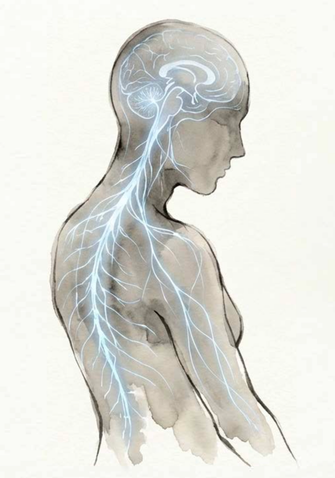 Teil 1: Bis auf die Knochen erschöpft und zugleich innerlich unter Strom! ME/CFS, Energieregulationsstörung und Long Covid