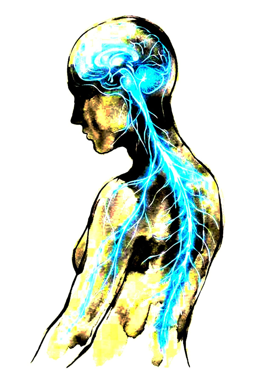 Teil 5: Sicherheit statt Kampf – Der Weg zurück  Warum Kämpfen alles schlimmer macht und was stattdessen funktioniert (ME/CFS, Long-Covid, Energie-Regulations-Störung)