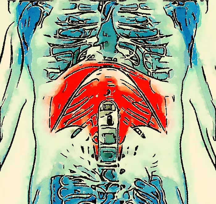 Wir versuchen bei uns mental und seelisch immer wieder eine neue Software aufzuspielen, aber wie kommen wir an die Hardware unseres Körper dran, so dass unser System nicht ständig wieder abstürzt?