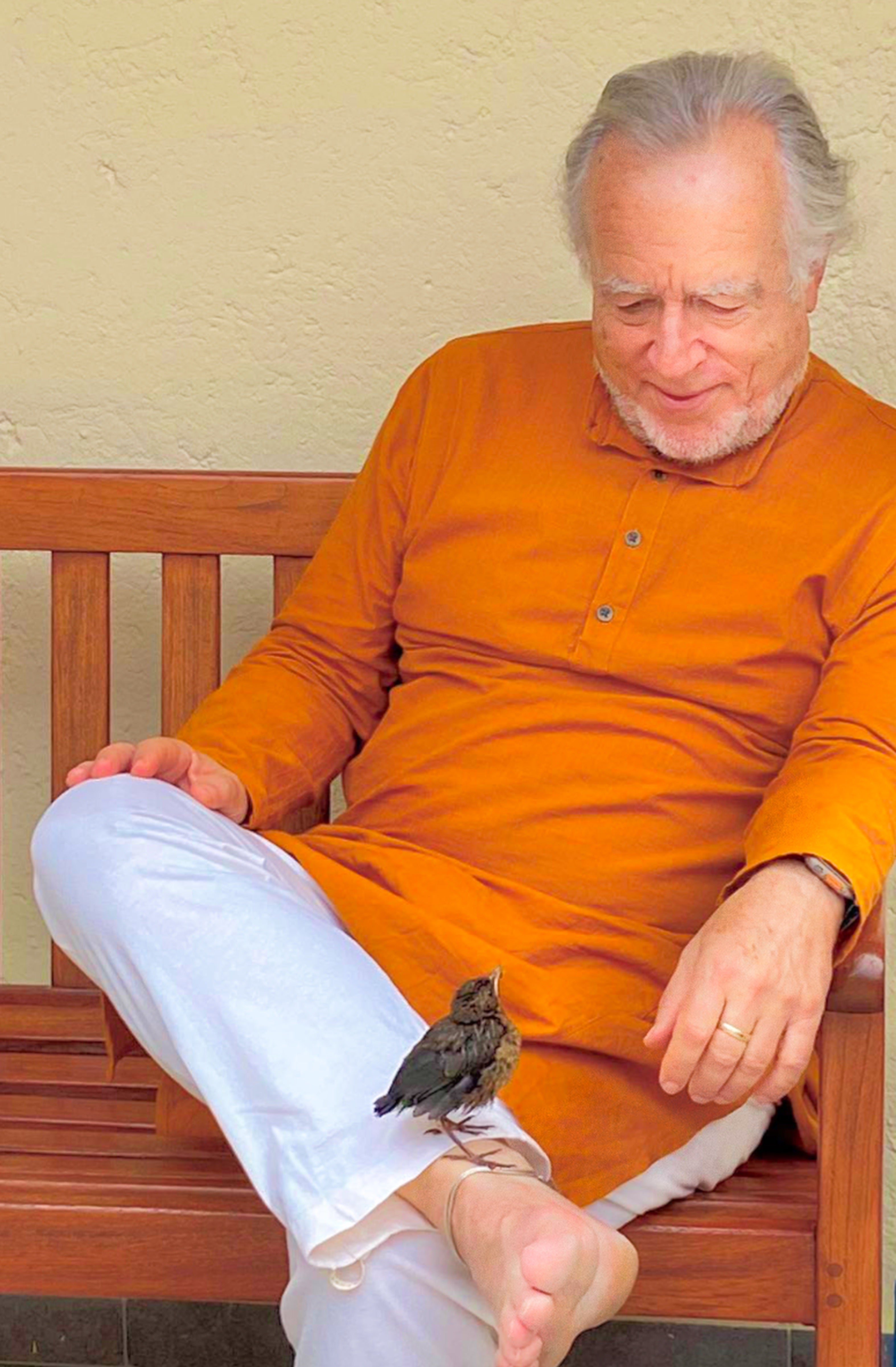 Dr. Fritz Helmut Hemmerich