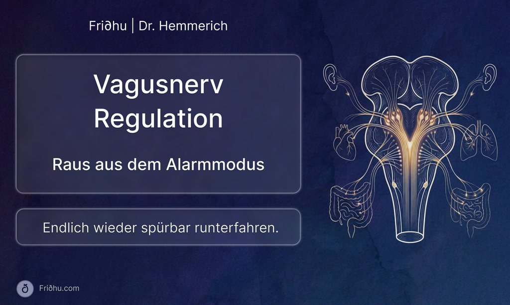 Videokurs: Vagusnerv Regulation - Raus aus dem Alarmmodus