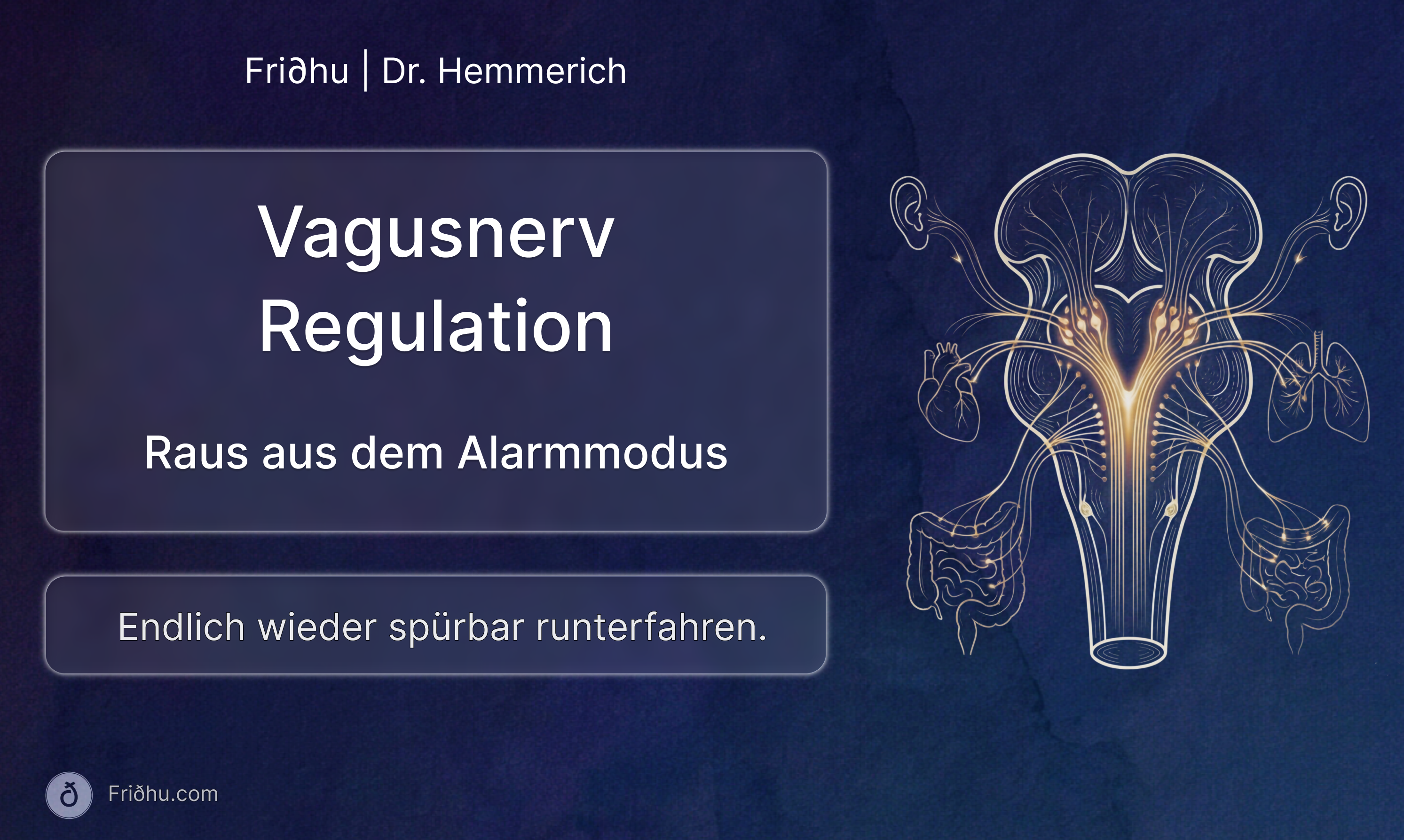Videokurs: Vagusnerv Regulation - Raus aus dem Alarmmodus